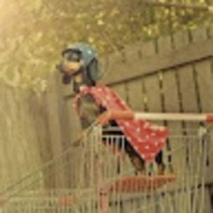 Meet your Posher, Alicia